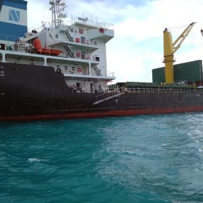Bulk Cargo Handling